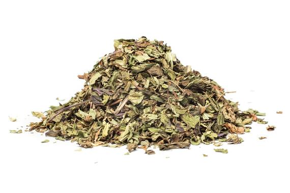 MENTA (Mentha spicata) - 250 g